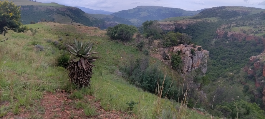 Commercial Property for Sale in Waterval Boven Mpumalanga