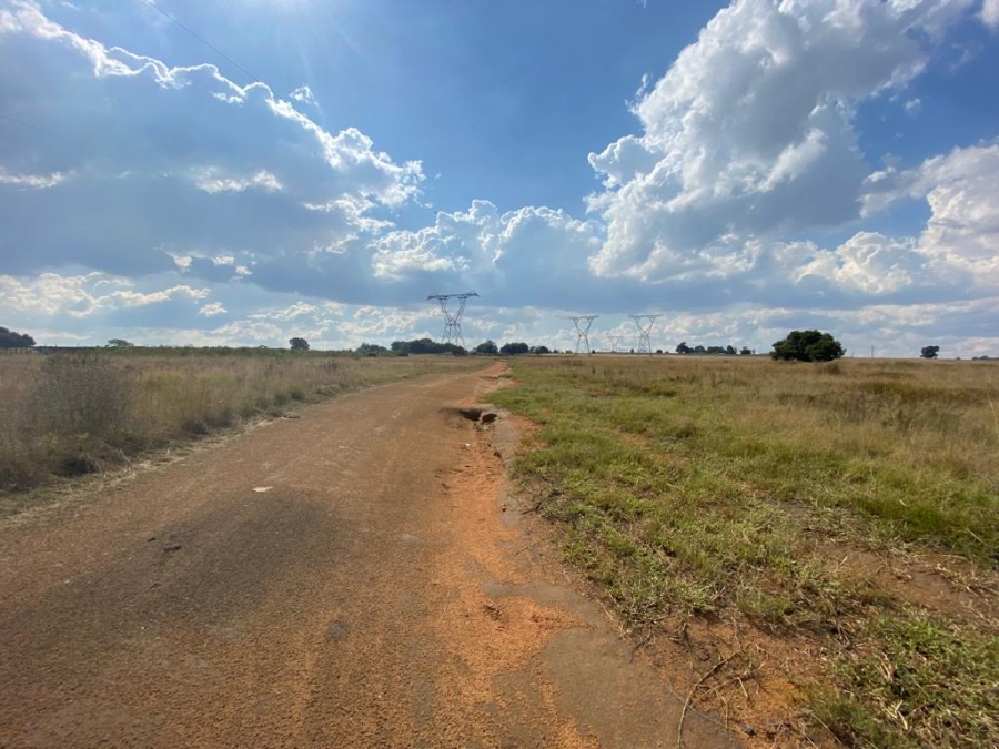 0 Bedroom Property for Sale in Naaupoort Mpumalanga