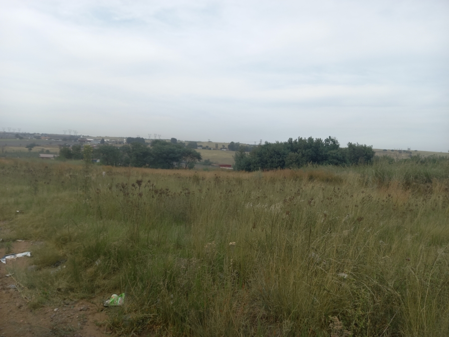 0 Bedroom Property for Sale in Naaupoort Mpumalanga