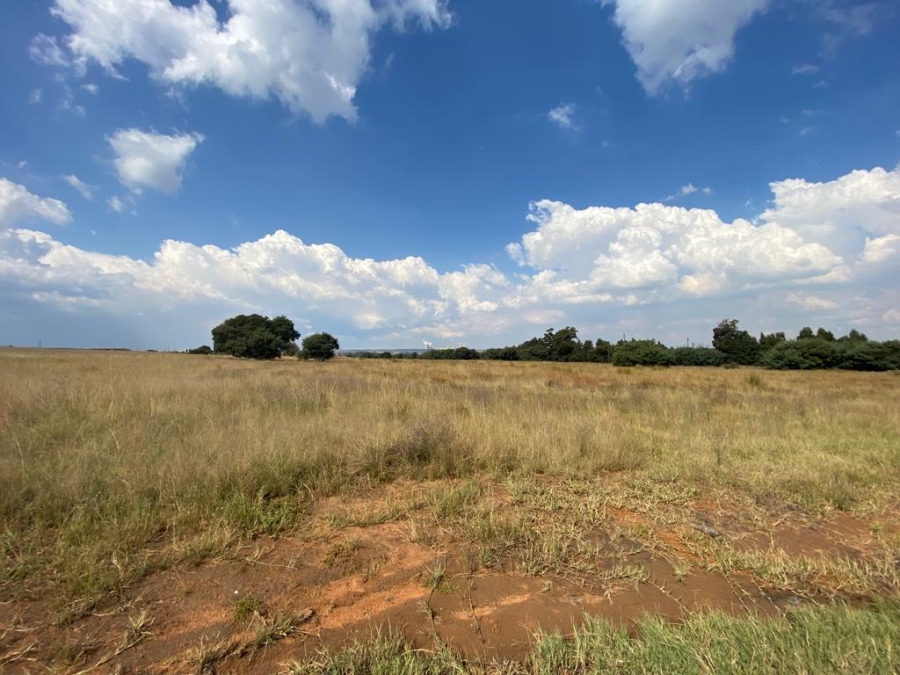 0 Bedroom Property for Sale in Naaupoort Mpumalanga