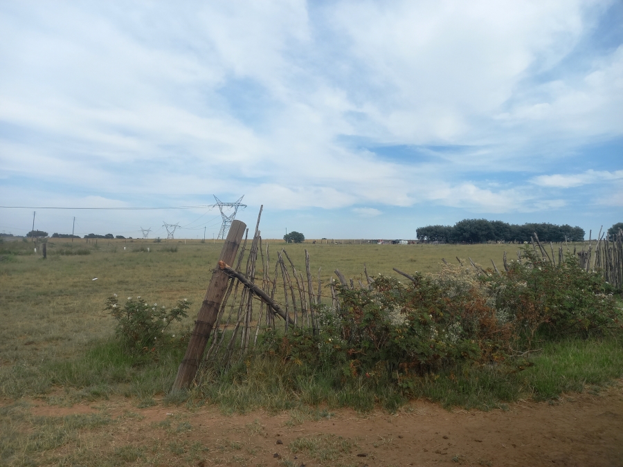 0 Bedroom Property for Sale in Naaupoort Mpumalanga