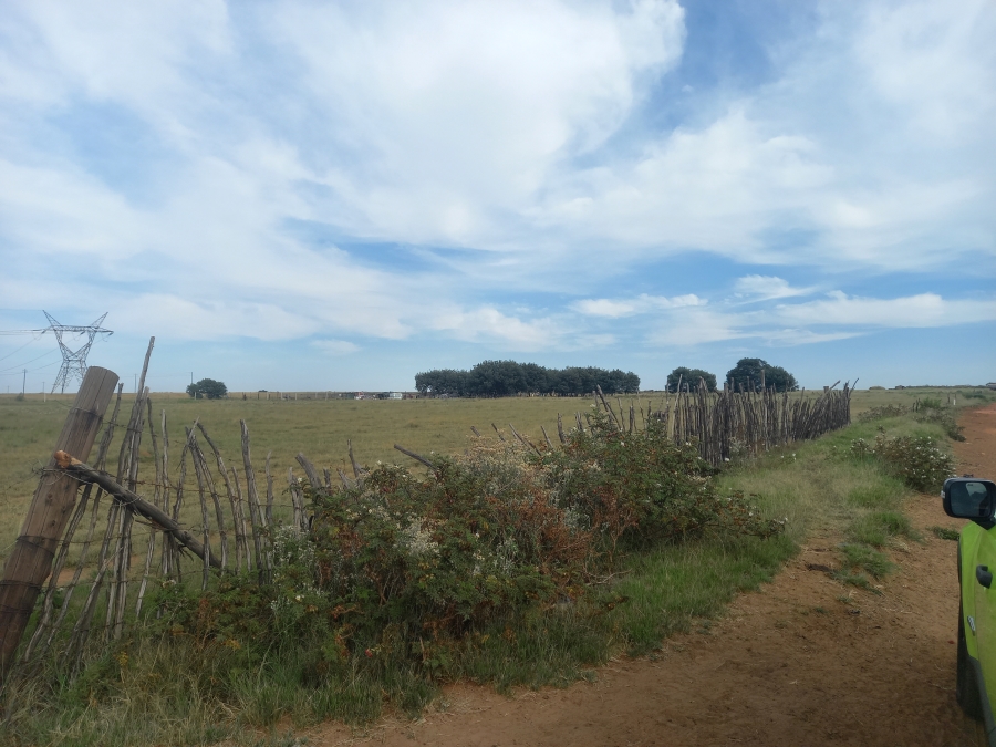 Commercial Property for Sale in Naaupoort Mpumalanga