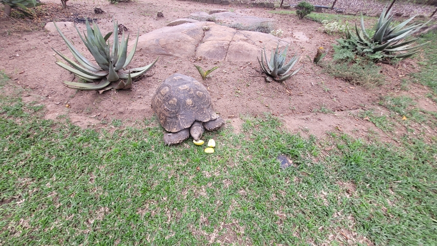 Commercial Property for Sale in Nelspruit Rural Mpumalanga