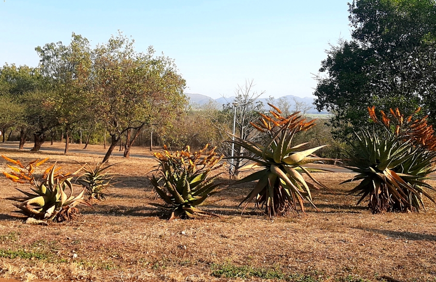 0 Bedroom Property for Sale in Malelane Mpumalanga