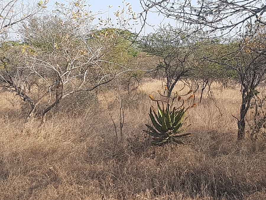 0 Bedroom Property for Sale in Malelane Mpumalanga