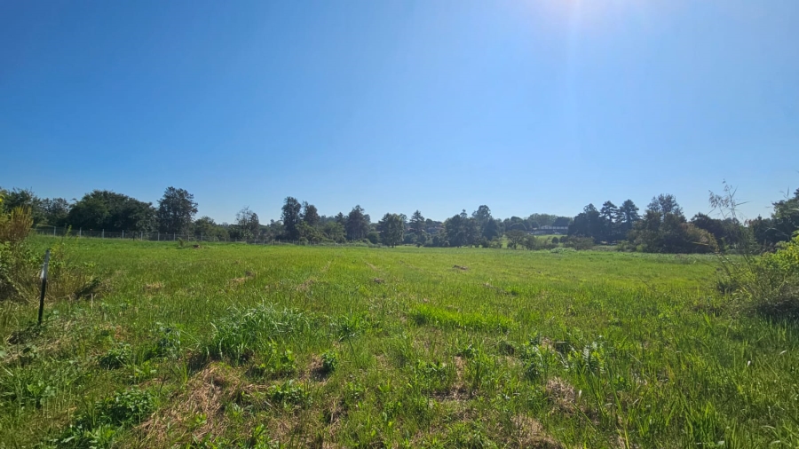 0 Bedroom Property for Sale in White River Rural Mpumalanga