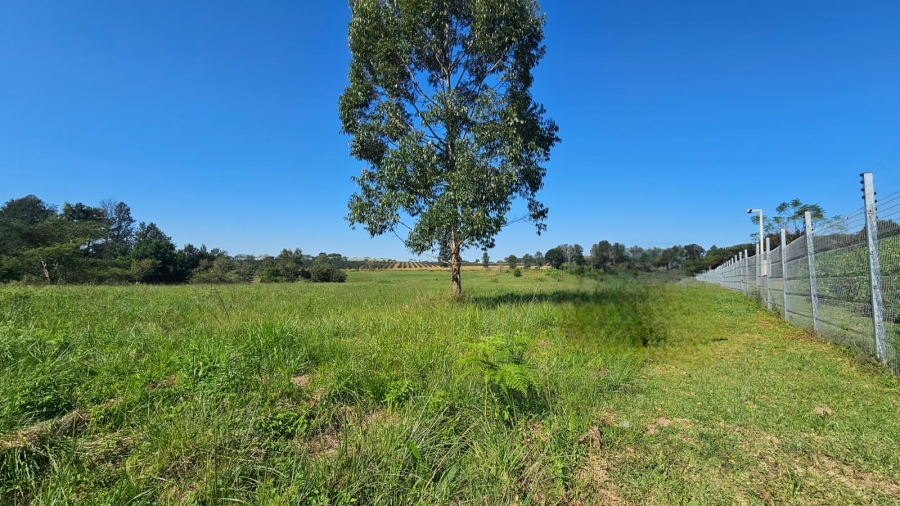 0 Bedroom Property for Sale in White River Rural Mpumalanga