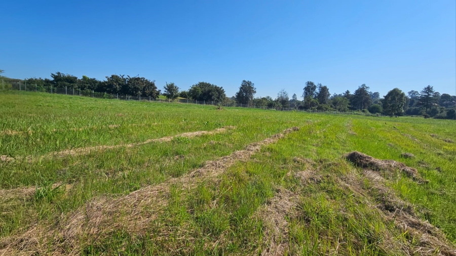 0 Bedroom Property for Sale in White River Rural Mpumalanga