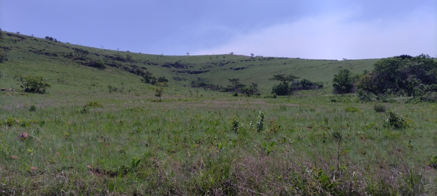 Commercial Property for Sale in Ngodwana Mpumalanga