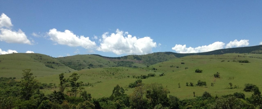 Commercial Property for Sale in Ngodwana Mpumalanga