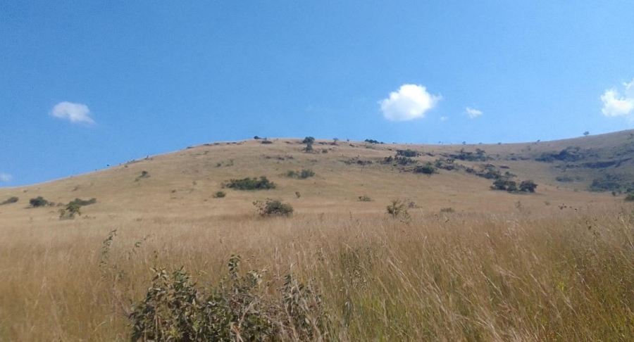 Commercial Property for Sale in Ngodwana Mpumalanga