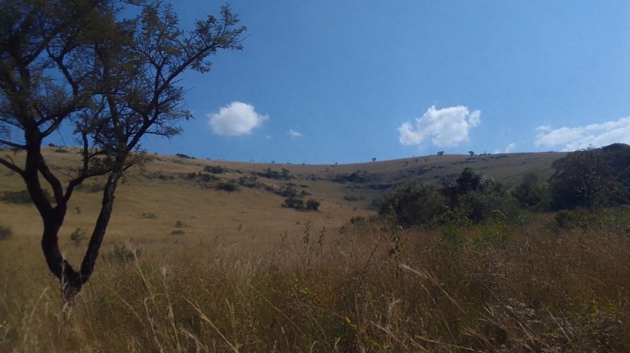 Commercial Property for Sale in Ngodwana Mpumalanga