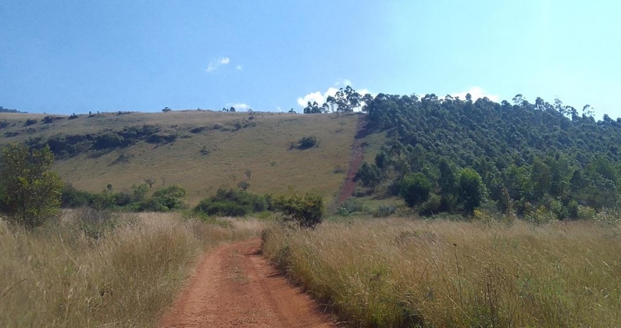 Commercial Property for Sale in Ngodwana Mpumalanga