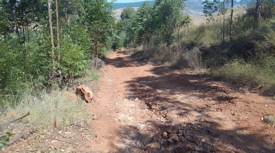 Commercial Property for Sale in Ngodwana Mpumalanga