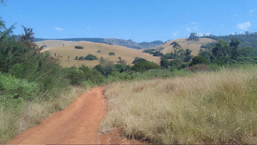 Commercial Property for Sale in Ngodwana Mpumalanga