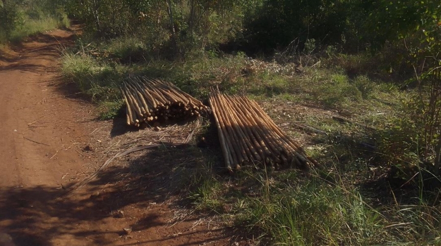 Commercial Property for Sale in Ngodwana Mpumalanga