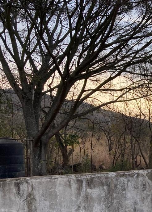 Commercial Property for Sale in Ngodwana Mpumalanga