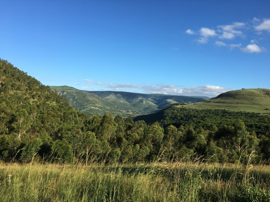 Commercial Property for Sale in Ngodwana Mpumalanga