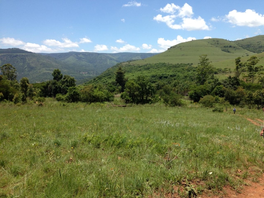 Commercial Property for Sale in Ngodwana Mpumalanga