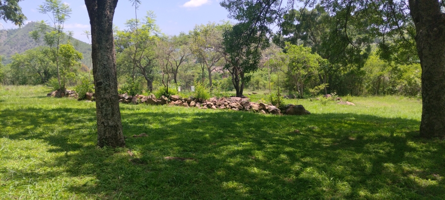 Commercial Property for Sale in Ngodwana Mpumalanga