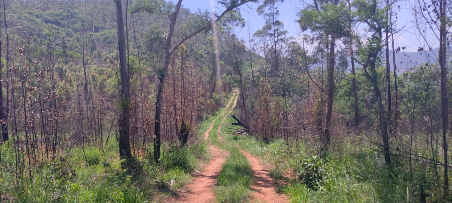 Commercial Property for Sale in Ngodwana Mpumalanga