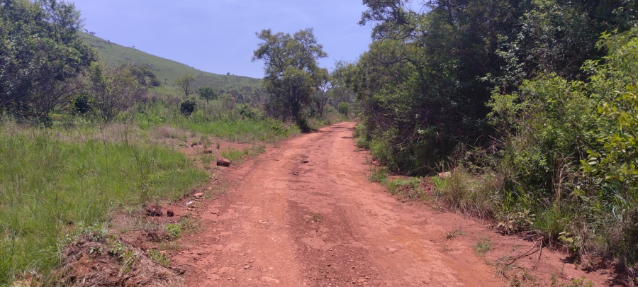 Commercial Property for Sale in Ngodwana Mpumalanga