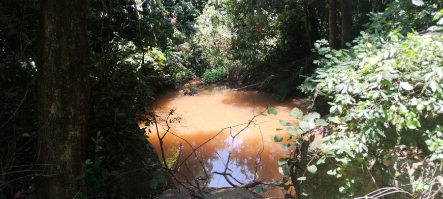 Commercial Property for Sale in Ngodwana Mpumalanga