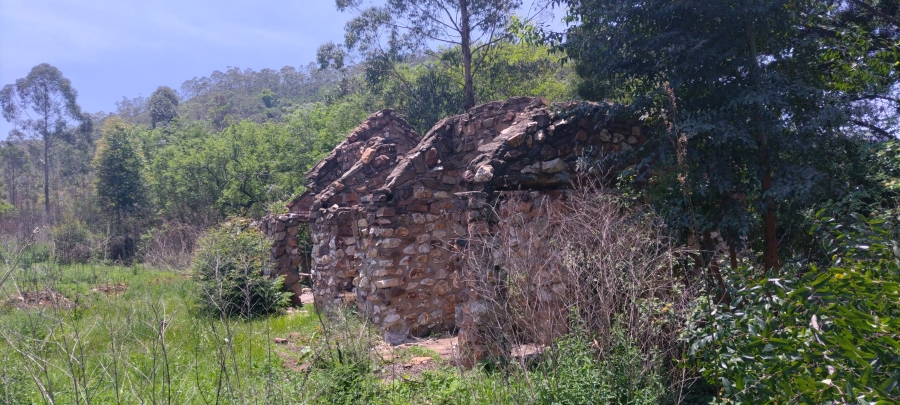 Commercial Property for Sale in Ngodwana Mpumalanga