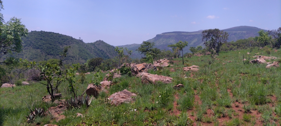 Commercial Property for Sale in Ngodwana Mpumalanga