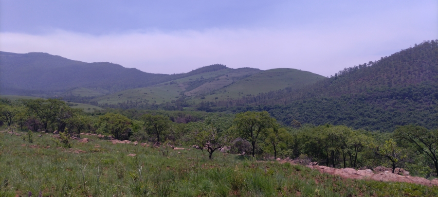 Commercial Property for Sale in Ngodwana Mpumalanga