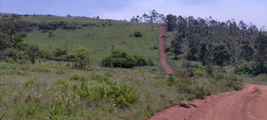 Commercial Property for Sale in Ngodwana Mpumalanga