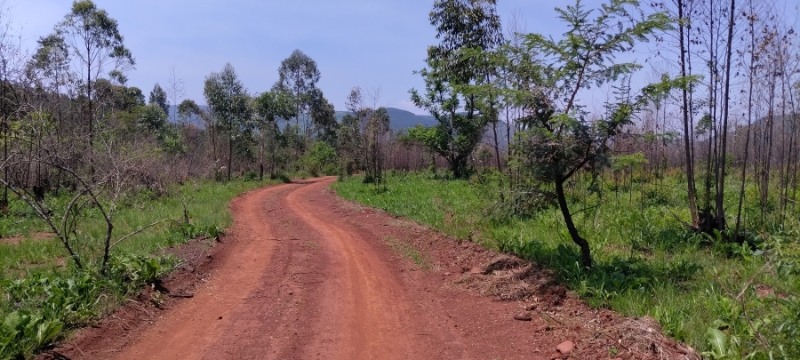 Commercial Property for Sale in Ngodwana Mpumalanga