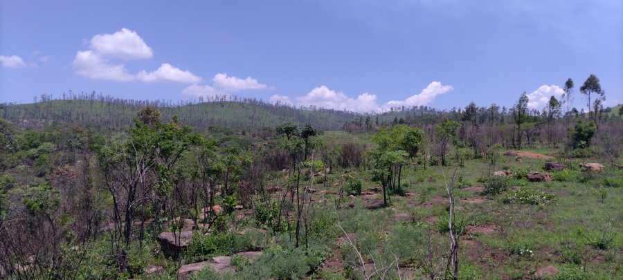 Commercial Property for Sale in Ngodwana Mpumalanga