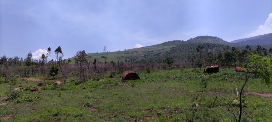 Commercial Property for Sale in Ngodwana Mpumalanga