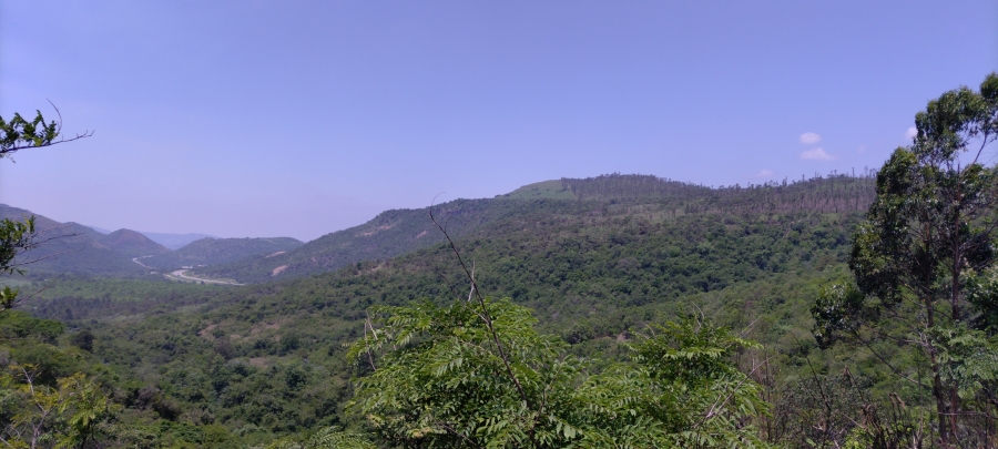 Commercial Property for Sale in Ngodwana Mpumalanga