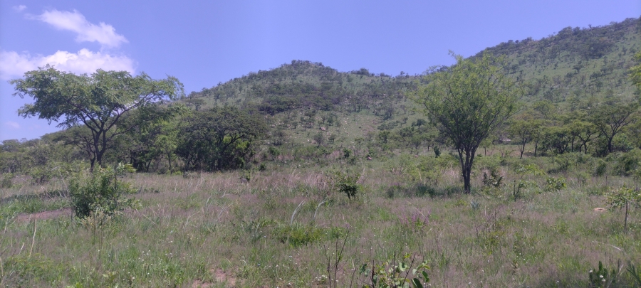 Commercial Property for Sale in Ngodwana Mpumalanga