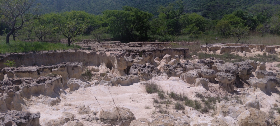 Commercial Property for Sale in Ngodwana Mpumalanga