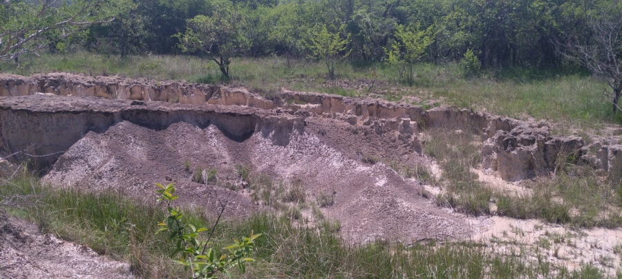 Commercial Property for Sale in Ngodwana Mpumalanga