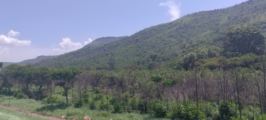 Commercial Property for Sale in Ngodwana Mpumalanga