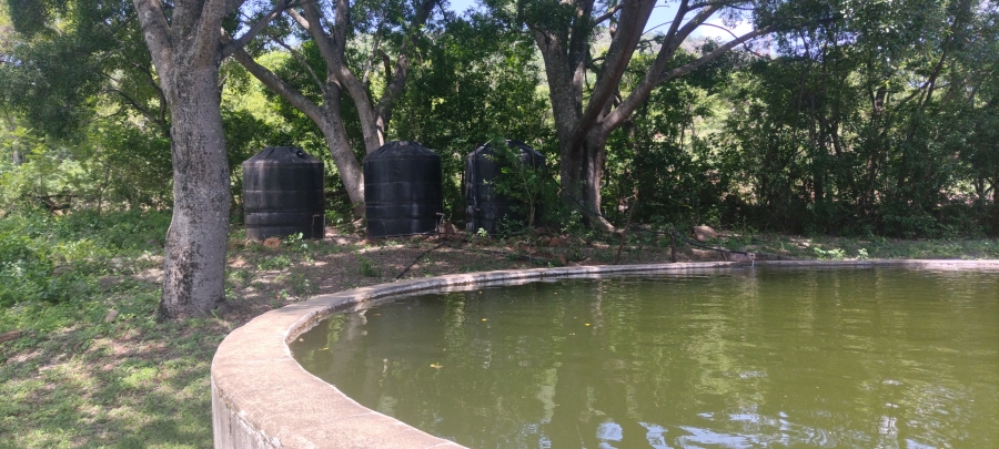 Commercial Property for Sale in Ngodwana Mpumalanga