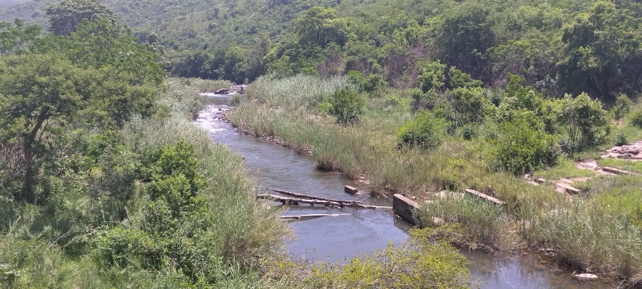 Commercial Property for Sale in Ngodwana Mpumalanga