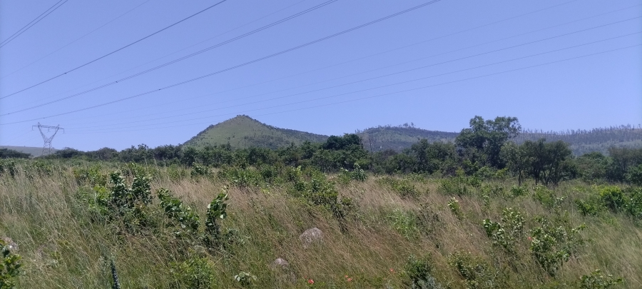Commercial Property for Sale in Ngodwana Mpumalanga