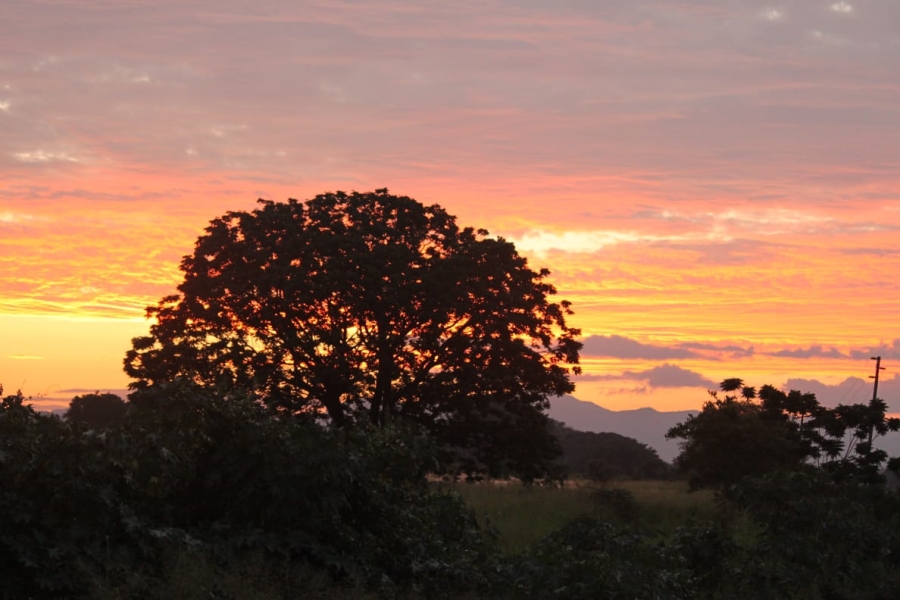 0 Bedroom Property for Sale in Komatipoort Mpumalanga