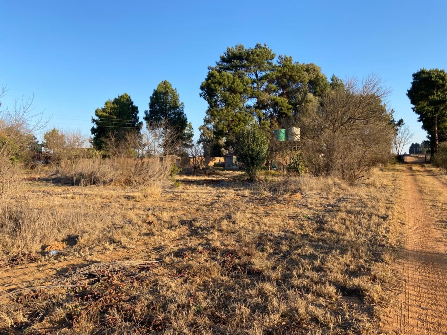 0 Bedroom Property for Sale in Naaupoort Mpumalanga