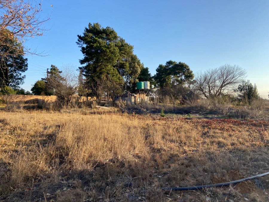 0 Bedroom Property for Sale in Naaupoort Mpumalanga