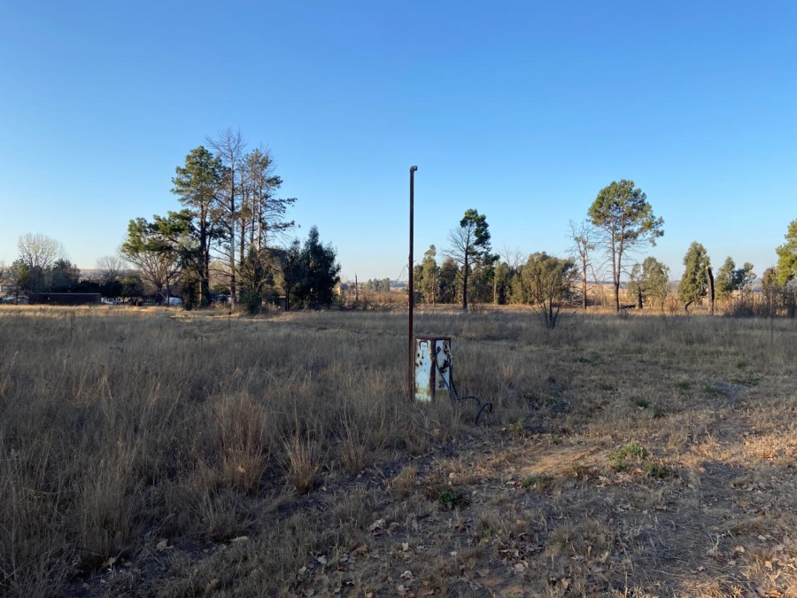 0 Bedroom Property for Sale in Naaupoort Mpumalanga