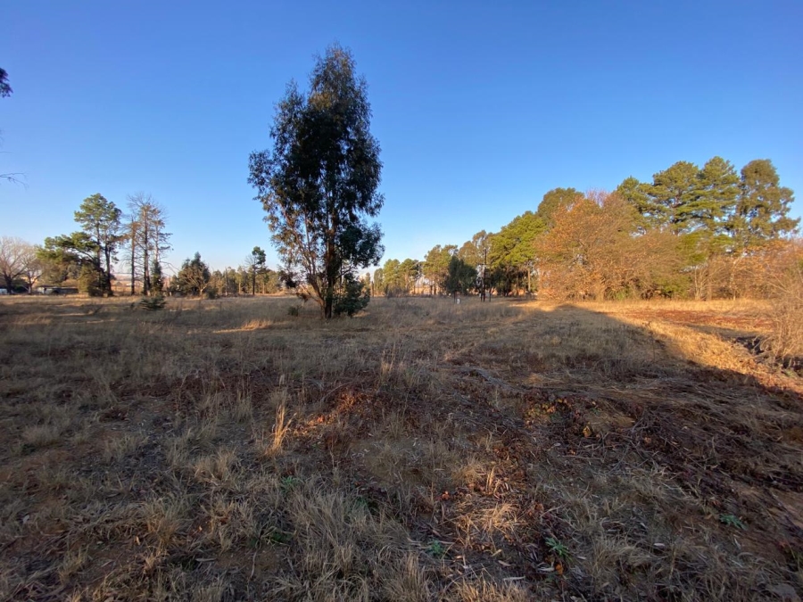 0 Bedroom Property for Sale in Naaupoort Mpumalanga