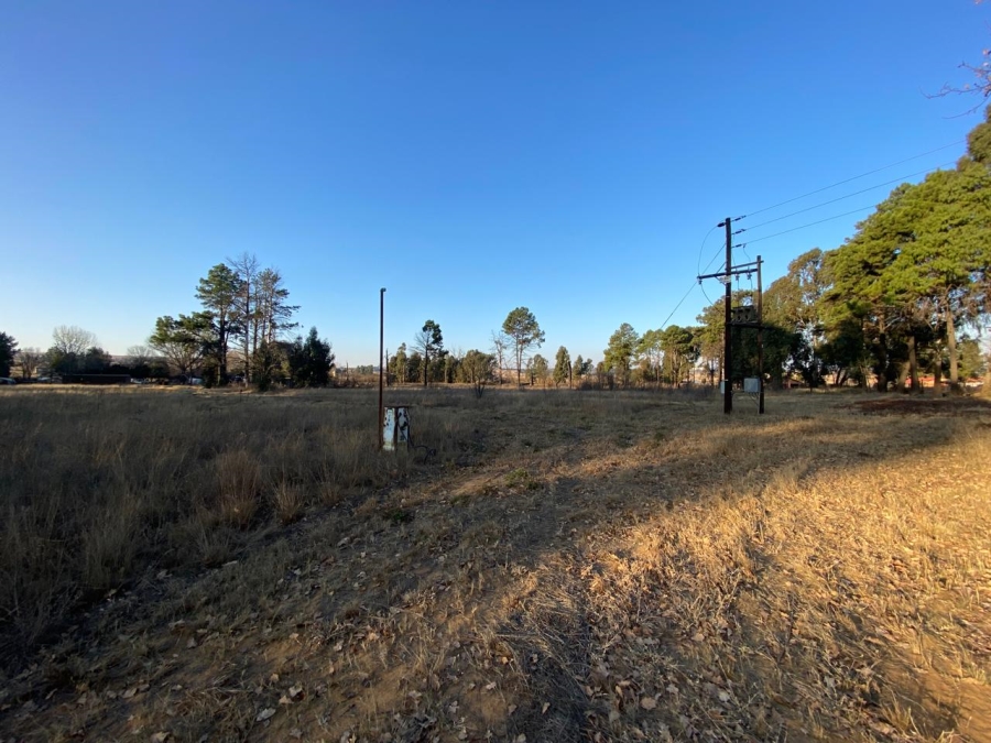 0 Bedroom Property for Sale in Naaupoort Mpumalanga