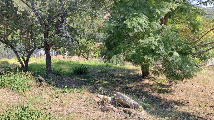 0 Bedroom Property for Sale in Milkwood Estate Mpumalanga