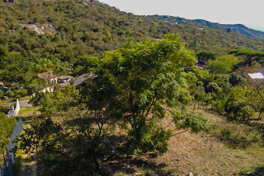 0 Bedroom Property for Sale in Milkwood Estate Mpumalanga